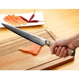 SUNLONG Fillet Knife Sashimi Sushi Carving Knife 10 Inch Japanese Knife - 67 layer Damascus Steel- Natural Burl Wood Handle - Walnut Wood Sheath - Flannel Knife Bag