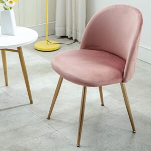 Kmax Modern Velvet Dining Chairs, Upholstered Living Room Accent Chairs, Gold Vanity Chairs, Set of 2 - Pink