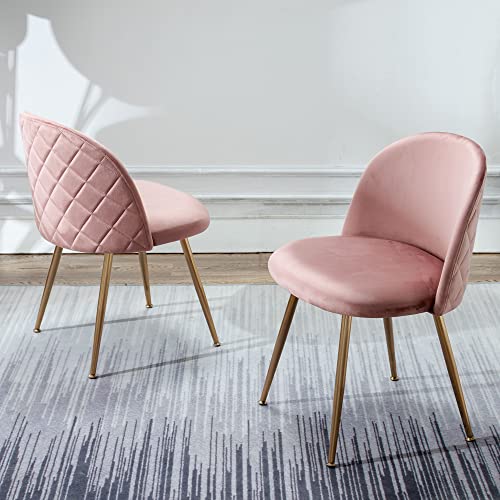 Kmax Modern Velvet Dining Chairs, Upholstered Living Room Accent Chairs, Gold Vanity Chairs, Set of 2 - Pink
