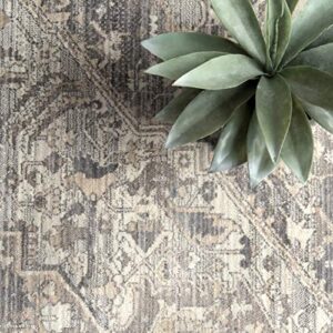 nuLOOM Harriet Vintage Medallion Fringe Runner Rug, 2' 6" x 8', Silver