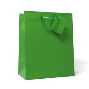 Allgala 12PK Value Premium Solid Color Paper Gift Bags (09" MED-Green-GP50071)