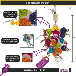 Birds LOVE Natural Foraging Bird Cage Toy Colorful w Vine Balls Wood Paper Rope Lots of Fun to Chew for Large Birds Macaws Cockatoos