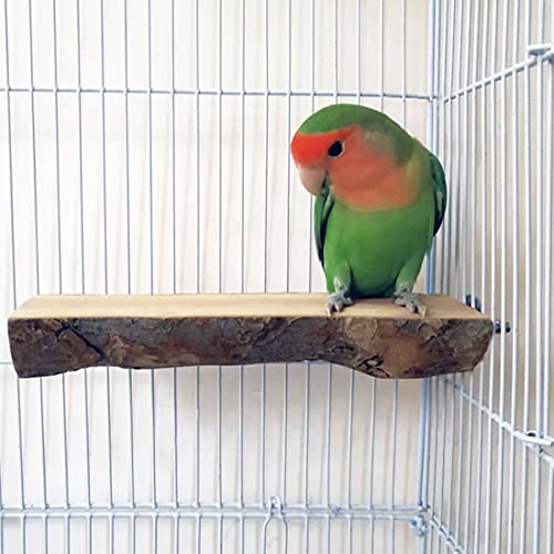 Hamiledyi 4 Pcs Wood Bird Perch Platform Branches Natural Wooden Parrot Stand Paw Grinding Sticks Bird Cage Accessories for Parrots Parakeets Budgies Conures Cockatiels Lovebirds