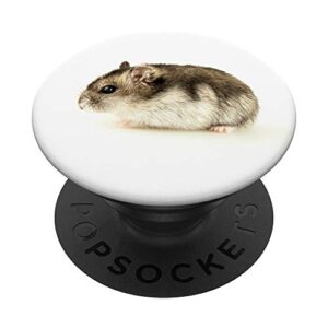 hamster popsockets popgrip: swappable grip for phones & tablets