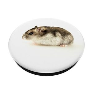 Hamster PopSockets PopGrip: Swappable Grip for Phones & Tablets