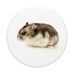 Hamster PopSockets PopGrip: Swappable Grip for Phones & Tablets