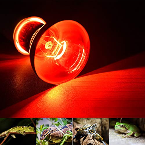 MD Lighting Pet Supplies 50w Infrared Heating Lamp 2 Pack, 110v E27 Basking Spot Light Bulbs for Reptile and Amphibian, as Bearded Dragons, Turtles, Ball Pythons, Red