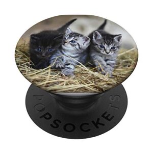 cute kittens cat lovers barn cats straw for kids teens women popsockets popgrip: swappable grip for phones & tablets