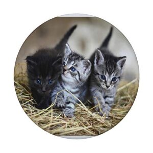 Cute Kittens Cat Lovers Barn Cats Straw For Kids Teens Women PopSockets PopGrip: Swappable Grip for Phones & Tablets