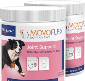 movoflex dog hip & joint support for large dogs | veterinarian formulated dog joint supplement | one chew a day | yummy dog treats or put in dog food - gluten free | 60 soft chews - 2 pack