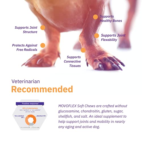 MOVOFLEX Dog Hip & Joint Support for Large Dogs | Veterinarian Formulated Dog Joint Supplement | One Chew A Day | Yummy Dog Treats or Put in Dog Food - Gluten Free | 60 Soft Chews - 2 Pack