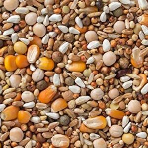 Premium 22 Pigeon Mix (13.25%) 20 lbs