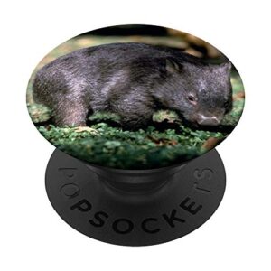 wombat popsockets popgrip: swappable grip for phones & tablets