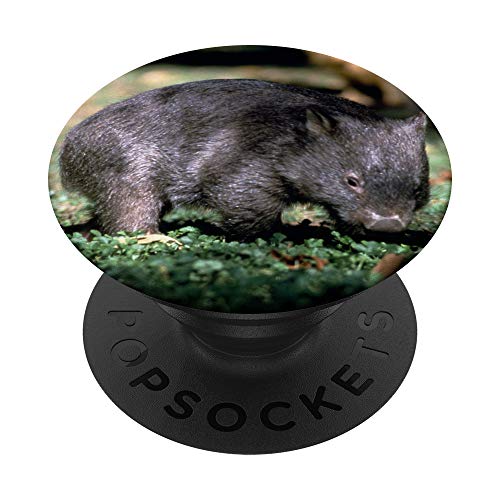 Wombat PopSockets PopGrip: Swappable Grip for Phones & Tablets