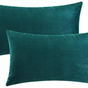 Mixhug Set of 2 Cozy Velvet Rectangle Decorative Throw Pillow Covers for Couch and Bed, Teal, 12 x 20 Inches