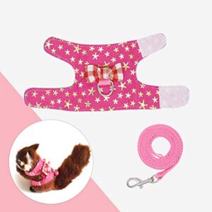 POPETPOP Small Animals Harness Vest and Leash Set, Adjustable Outdoor Walking Chest Strap Harness with Cute Bowknot for Rabbit, Guinea Pig Hamster - Size S (Gilding Stars)