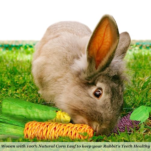 SunGrow Natural Veggie Chew Toys for Rabbits, 5.2 Inches, Woven with 100% Organic Material, Stimulate Your Bunny Rabbits, Bright, Entertaining and Safe for Chewing, 3 Pieces