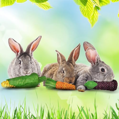 SunGrow Natural Veggie Chew Toys for Rabbits, 5.2 Inches, Woven with 100% Organic Material, Stimulate Your Bunny Rabbits, Bright, Entertaining and Safe for Chewing, 3 Pieces