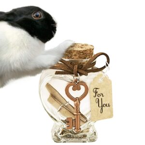 LUFFY Memento Jar, Container for Pet’s Furs, Nail Clippings and Ashes, Funeral, Souvenir and Gift Item, for Rabbit, Parrot, Dog & Cat