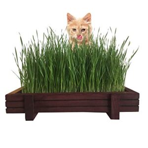 microgreen pros cat grass for indoor cats kit with rustic wood planter, certified organic seeds, soil, water spray bottle and easy to follow instructions. 100% guaranteed to grow.