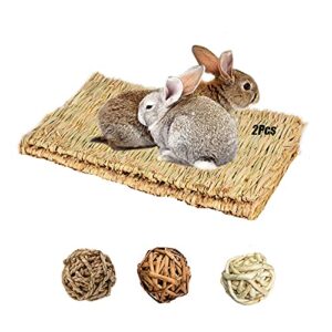 tfwadmx rabbit grass mat,16.5''x11'' large natural woven seagrass mat bunny bed chew mat sleep for chinchillas guinea pigs ferret guinea-pig and small animals -2 pcs