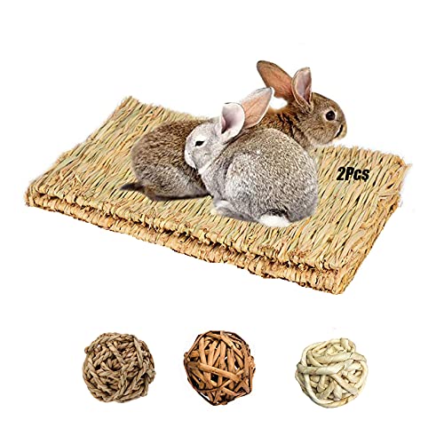 Tfwadmx Rabbit Grass Mat,16.5''x11'' Large Natural Woven Seagrass Mat Bunny Bed Chew Mat Sleep for Chinchillas Guinea Pigs Ferret Guinea-Pig and Small Animals -2 Pcs