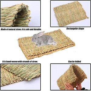 Tfwadmx Rabbit Grass Mat,16.5''x11'' Large Natural Woven Seagrass Mat Bunny Bed Chew Mat Sleep for Chinchillas Guinea Pigs Ferret Guinea-Pig and Small Animals -2 Pcs