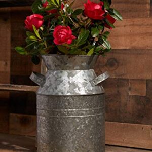 DII Galvanized Metal Decor, Rustic Farmhouse, Milk Can, Silver