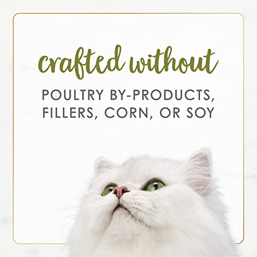 Purina Fancy Feast Wet Cat Food Gourmet Naturals White Meat Chicken Recipe in Wet Cat Food Gravy - (12) 3 oz. Cans