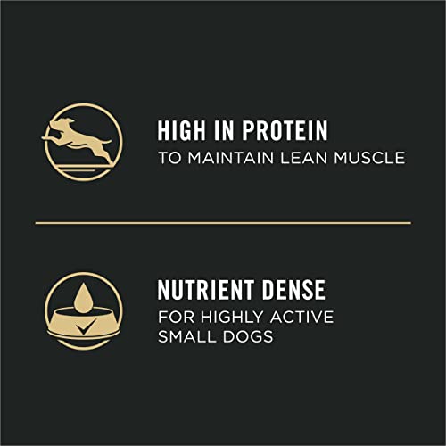 Purina Pro Plan Wet Dog Food for Small Dogs Adult Small Breed Turkey Entree High Protein Dog Food - (12) 3.5 oz. Trays