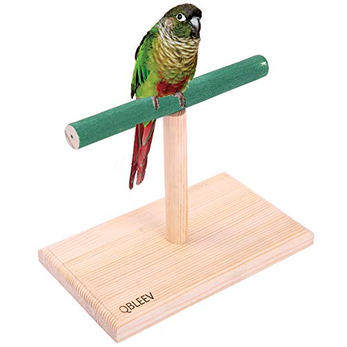 QBLEEV Small Bird Perch,Bird Play Stand,Portable Training Parrot Playstand, Bird Cage Toys for Cockatiels Conures Parakeet Finch Lovebirds