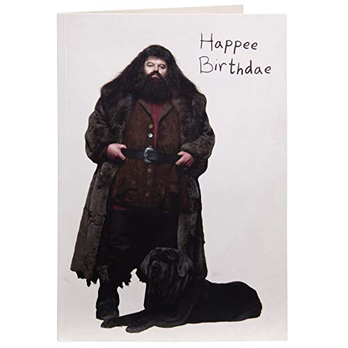 Harry Potter Hagrid Happy Birthday Cake Pop-Up Greeting Card - Deluxe Handcrafted Pop Up Card - 5 x 7