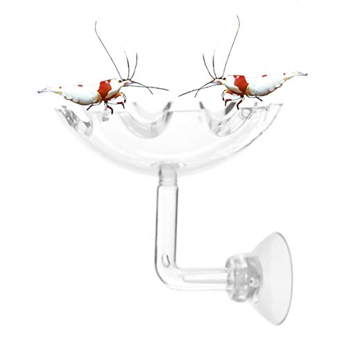 JZMYXA Shrimp Feeding Dish Shrimp Feed Dish, High Transparent Acrylic Material