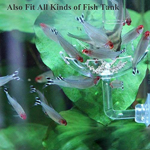 JZMYXA Shrimp Feeding Dish Shrimp Feed Dish, High Transparent Acrylic Material