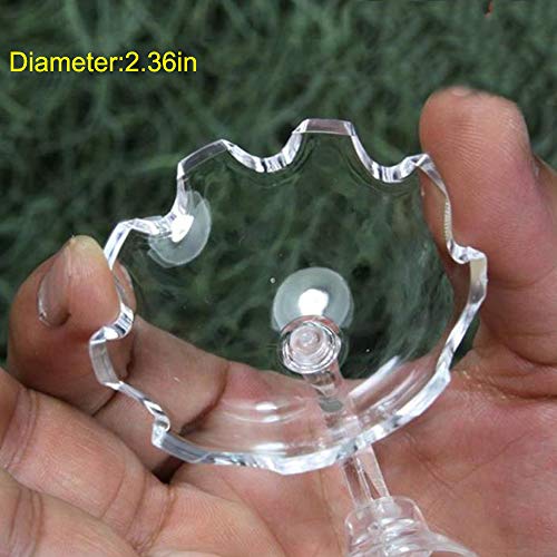 Tfwadmx Shrimp Feeding Dish and Feeder Tube Transparent Feeder Container for Shrimp Tropical Fish African Dwarf Frog 2Pcs