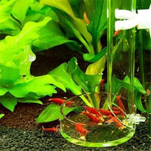 Tfwadmx Shrimp Feeding Dish and Feeder Tube Transparent Feeder Container for Shrimp Tropical Fish African Dwarf Frog 2Pcs