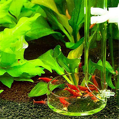 Tfwadmx Shrimp Feeding Dish and Feeder Tube Transparent Feeder Container for Shrimp Tropical Fish African Dwarf Frog 2Pcs