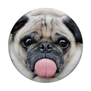 Funny Pug Sticking Out Tongue PopSockets PopGrip: Swappable Grip for Phones & Tablets