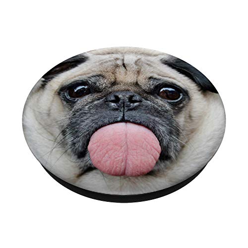 Funny Pug Sticking Out Tongue PopSockets PopGrip: Swappable Grip for Phones & Tablets