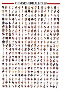 chinese acupuncture herbal poster laminated 24 x 36 inches