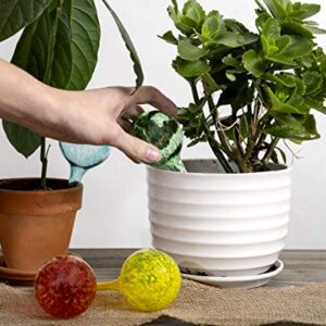 Besti Large Self Watering Globes for Plants (6-Pack) Waters Greenery Up to 2 Weeks Hands Free | Durable, Multicolored Glass Craftsmanship | Indoor and Outdoor Use - Measures 12” x 3.5”