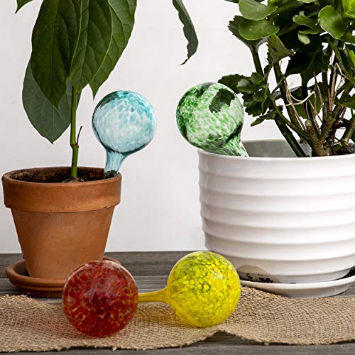 Besti Large Self Watering Globes for Plants (6-Pack) Waters Greenery Up to 2 Weeks Hands Free | Durable, Multicolored Glass Craftsmanship | Indoor and Outdoor Use - Measures 12” x 3.5”