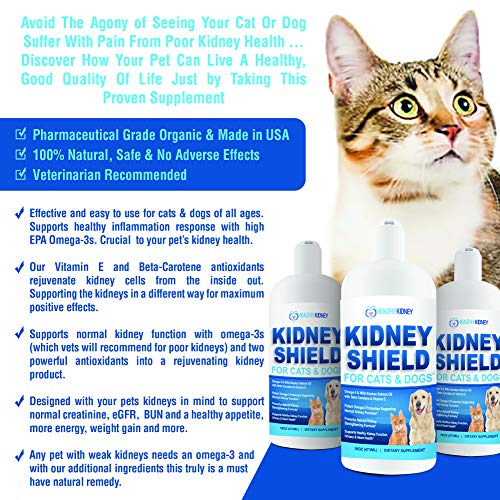 Dog and Cat Kidney Support, Canine Feline Renal Health Support Supplement For Normal Kidney Function, Creatinine, Detox, Urinary Track Cleansing, Best Kidney Stuff, Improve Pets Alive an Kidney Health