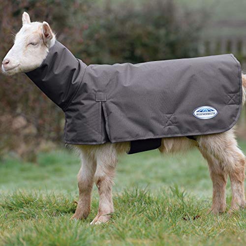 Weatherbeeta Goat Coat with Neck, Grey, 3extra Large