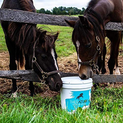 Therazure Horse Hoof Thrush Treatment Clay and White Line Equine Care: Effective on Horses, Cows, Goats, Sheep, Pigs and All Hooved Animals- 20 oz Jar