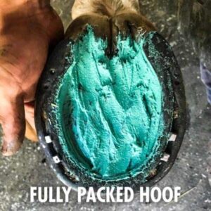 Therazure Horse Hoof Thrush Treatment Clay and White Line Equine Care: Effective on Horses, Cows, Goats, Sheep, Pigs and All Hooved Animals- 20 oz Jar