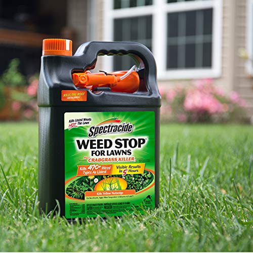 Spectracide Weed Stop For Lawns Plus Crabgrass Killer, Ready-to-Use, 1 gallon
