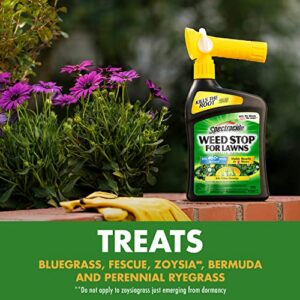 Spectracide Lawn Weed Killer, 32 oz, Clear