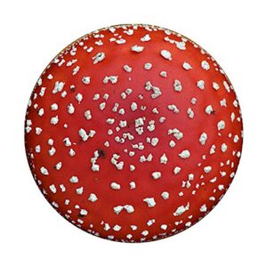 Red Fly Agaric Amanita Mushroom Fungus Hipster Nature Gift PopSockets PopGrip: Swappable Grip for Phones & Tablets