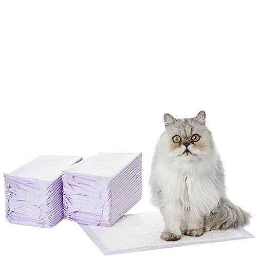 Amazon Basics Cat Pad Refills for Litter Box, Fresh Scent, Pack of 40, Purple